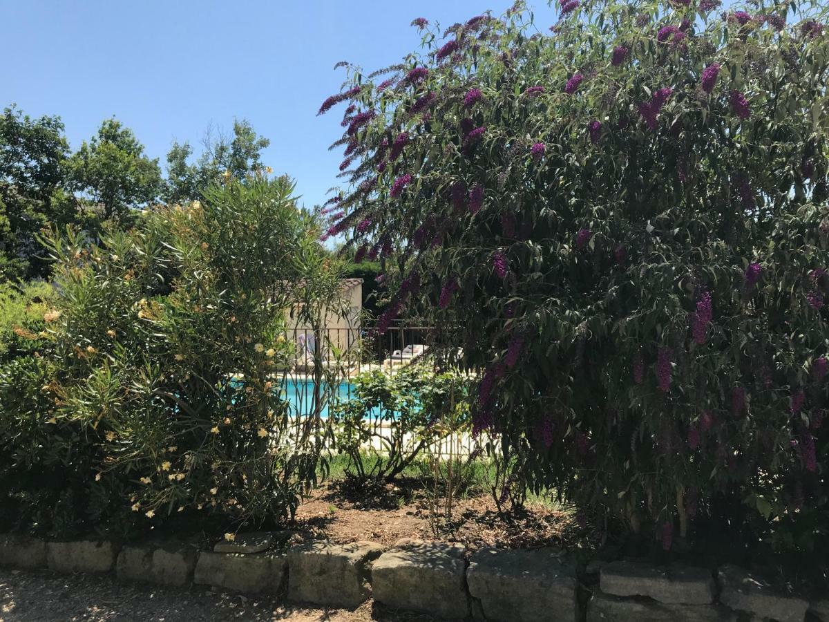 Les Buis Apartamento Carpentras Exterior foto