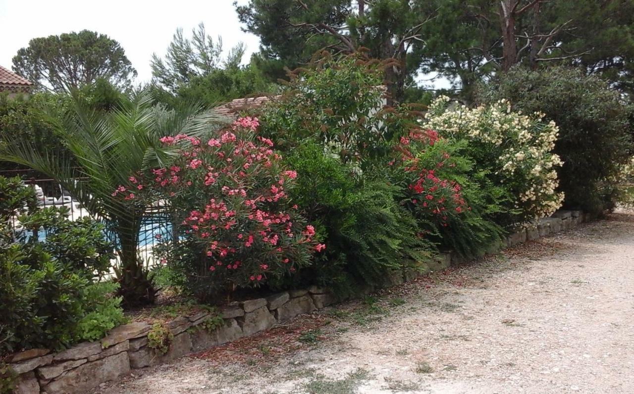 Les Buis Apartamento Carpentras Exterior foto