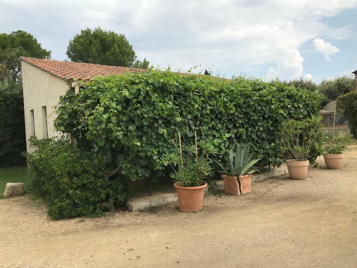 Les Buis Apartamento Carpentras Exterior foto