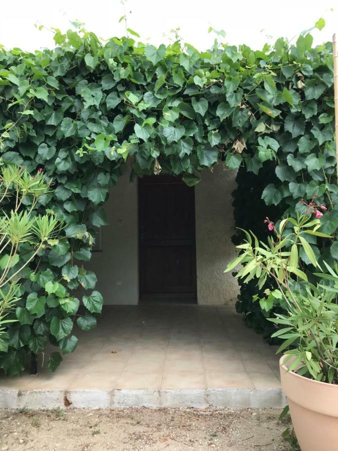 Les Buis Apartamento Carpentras Exterior foto
